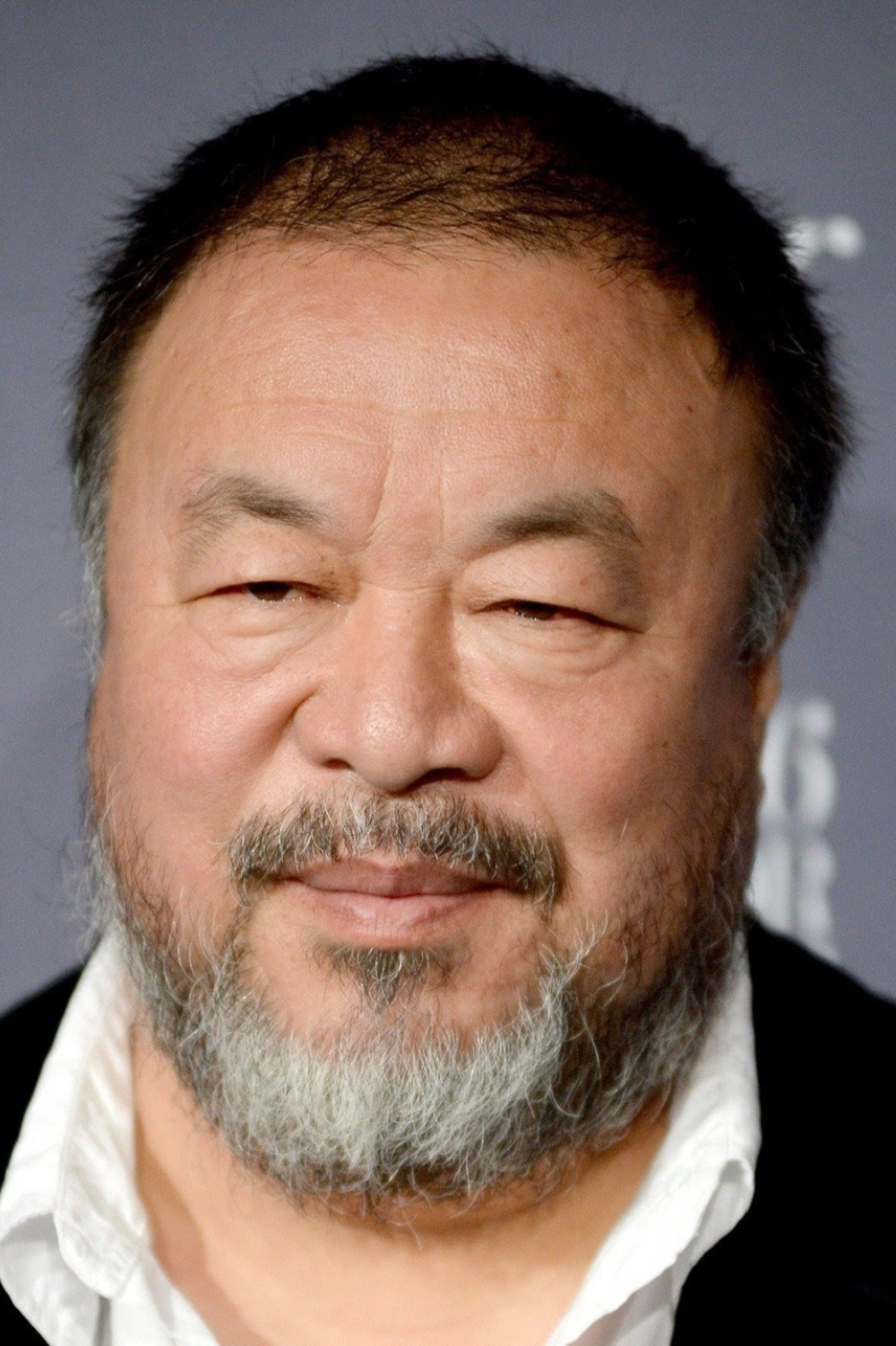 Ai WeiWei (3)