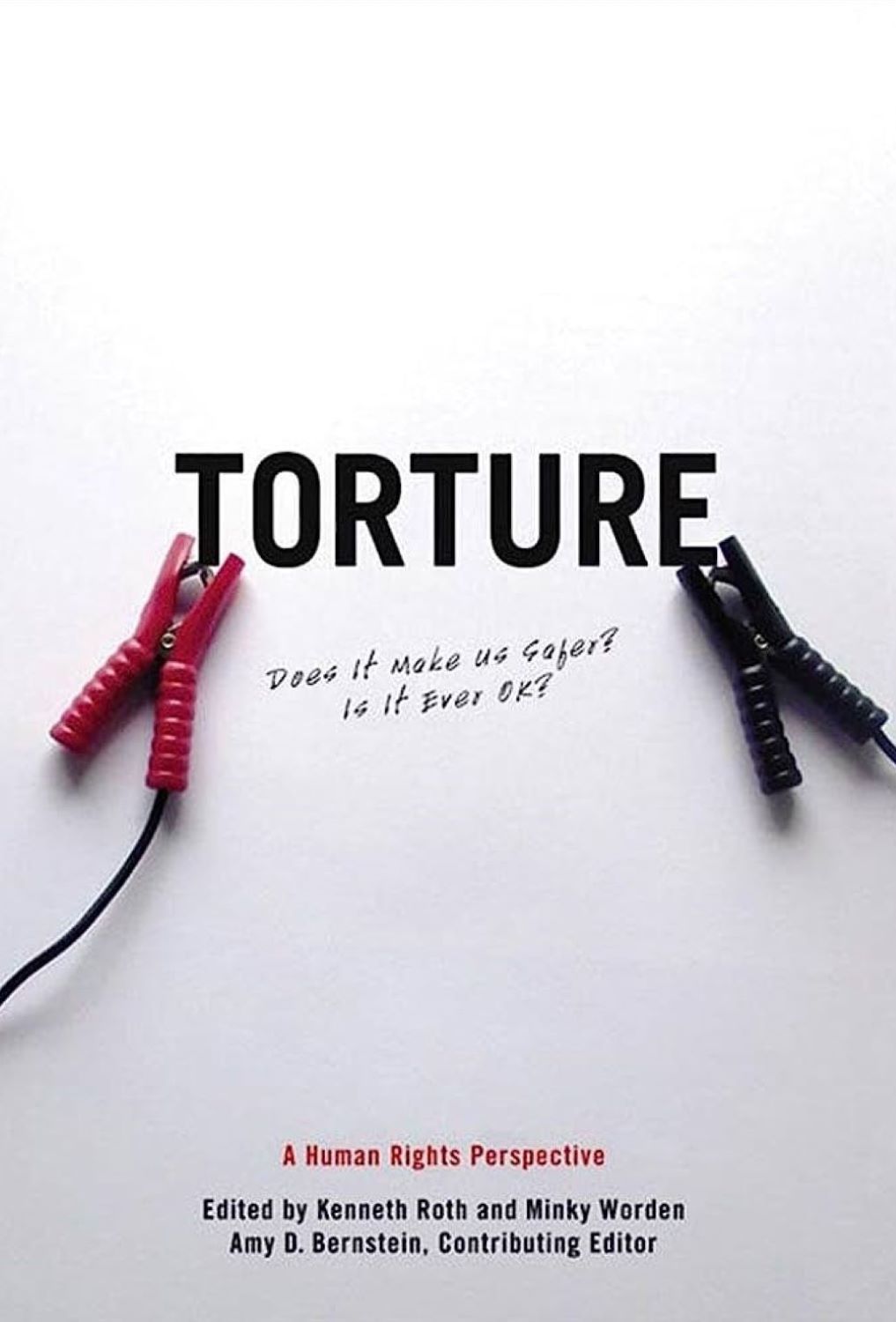 Torture Does It Make Us Safer